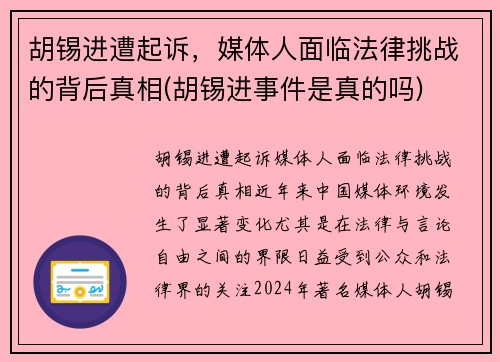 胡锡进遭起诉，媒体人面临法律挑战的背后真相(胡锡进事件是真的吗)